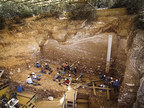 atapuerca entradas|Yacimientos de Atapuerca: Descubre su historia